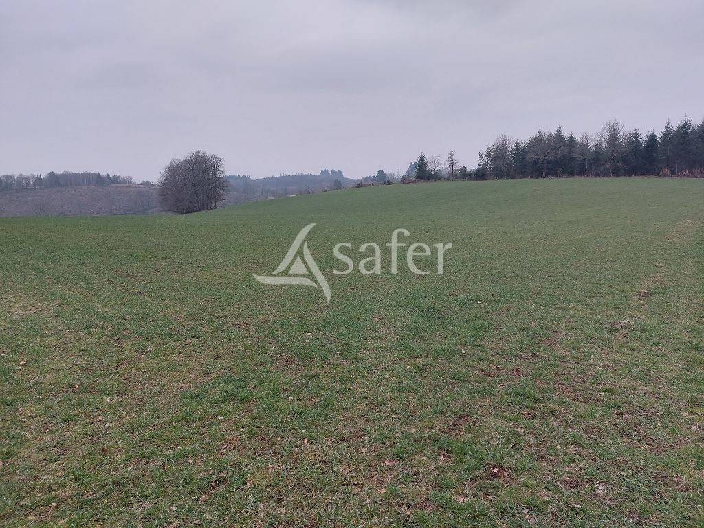 Propri&eacute;t&eacute; agricole sur environ 54 ha bien group&eacute;s