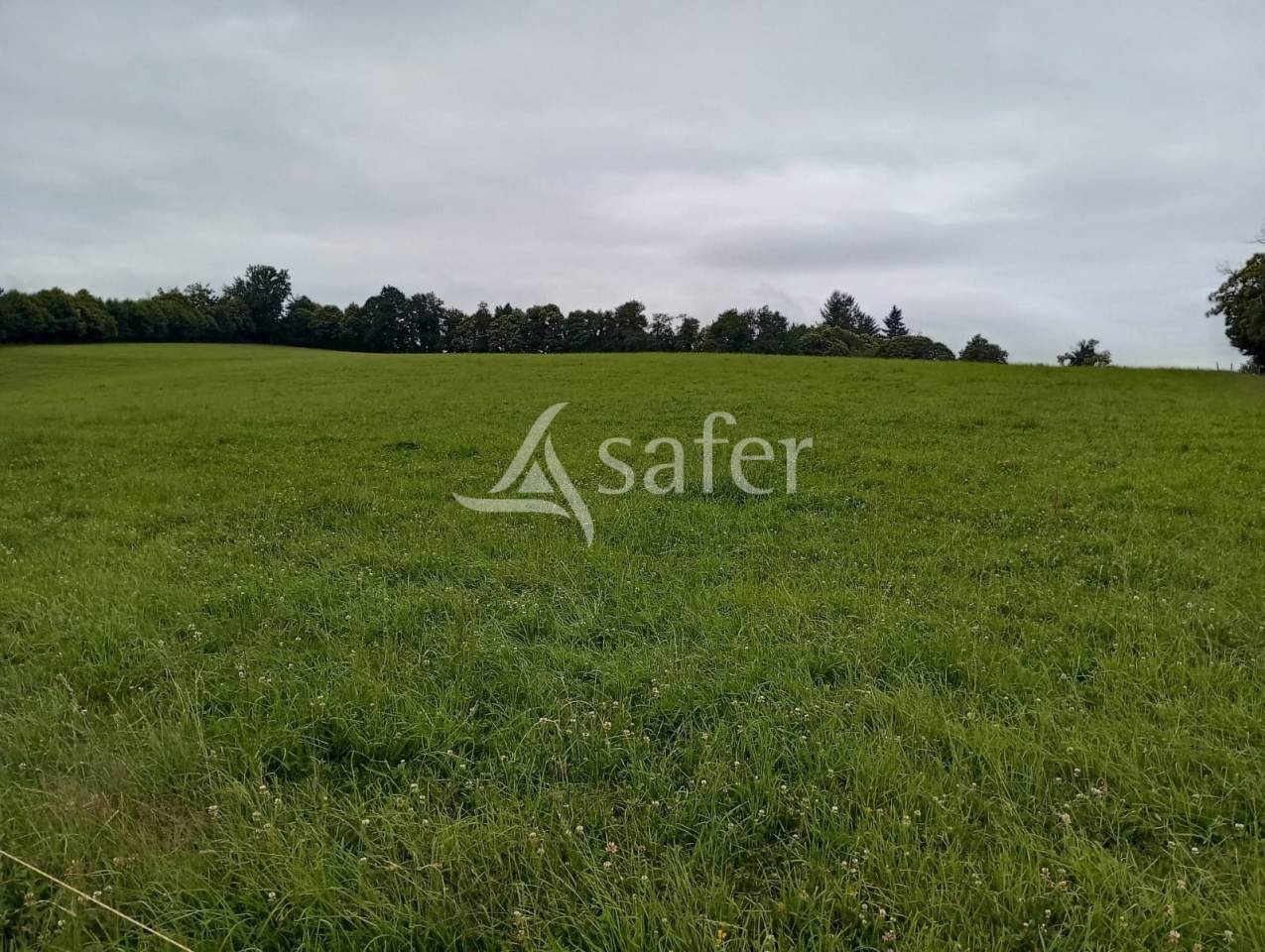 Propri&eacute;t&eacute; agricole sur environ 54 ha bien group&eacute;s