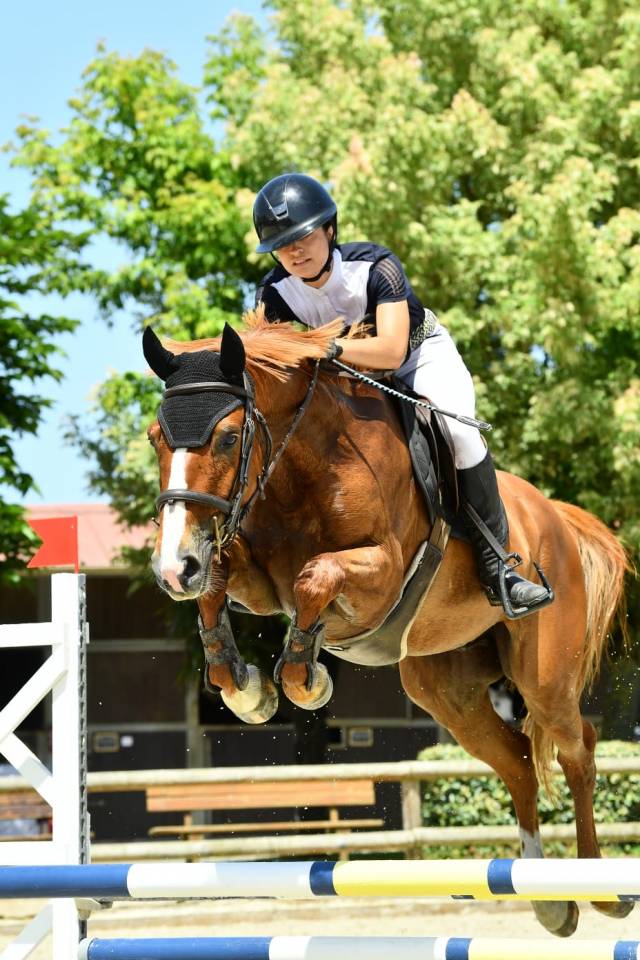 Cheval amateur &eacute;lite