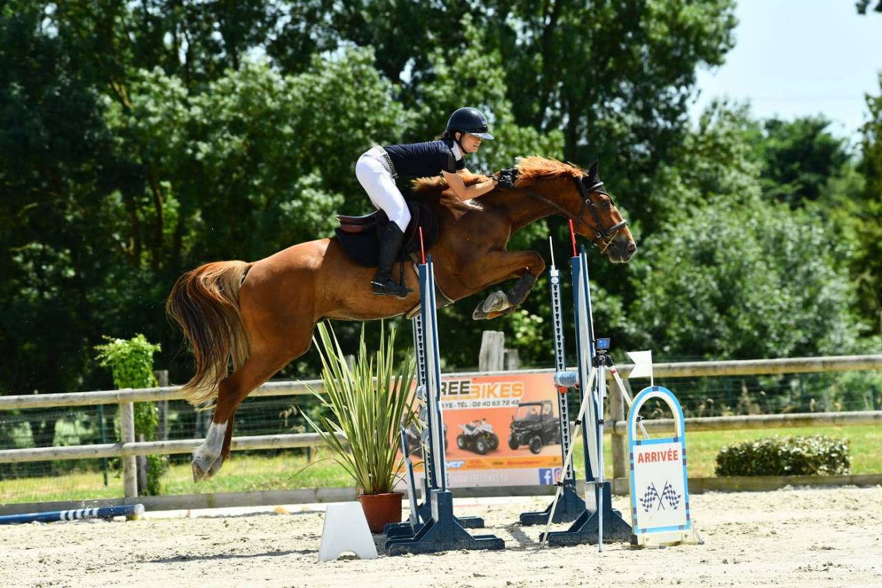 Cheval amateur &eacute;lite