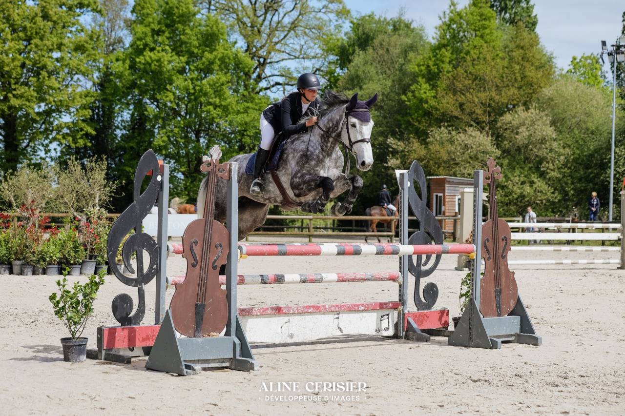 &Agrave; vendre &ndash; jument CSO - amateur &eacute;lite