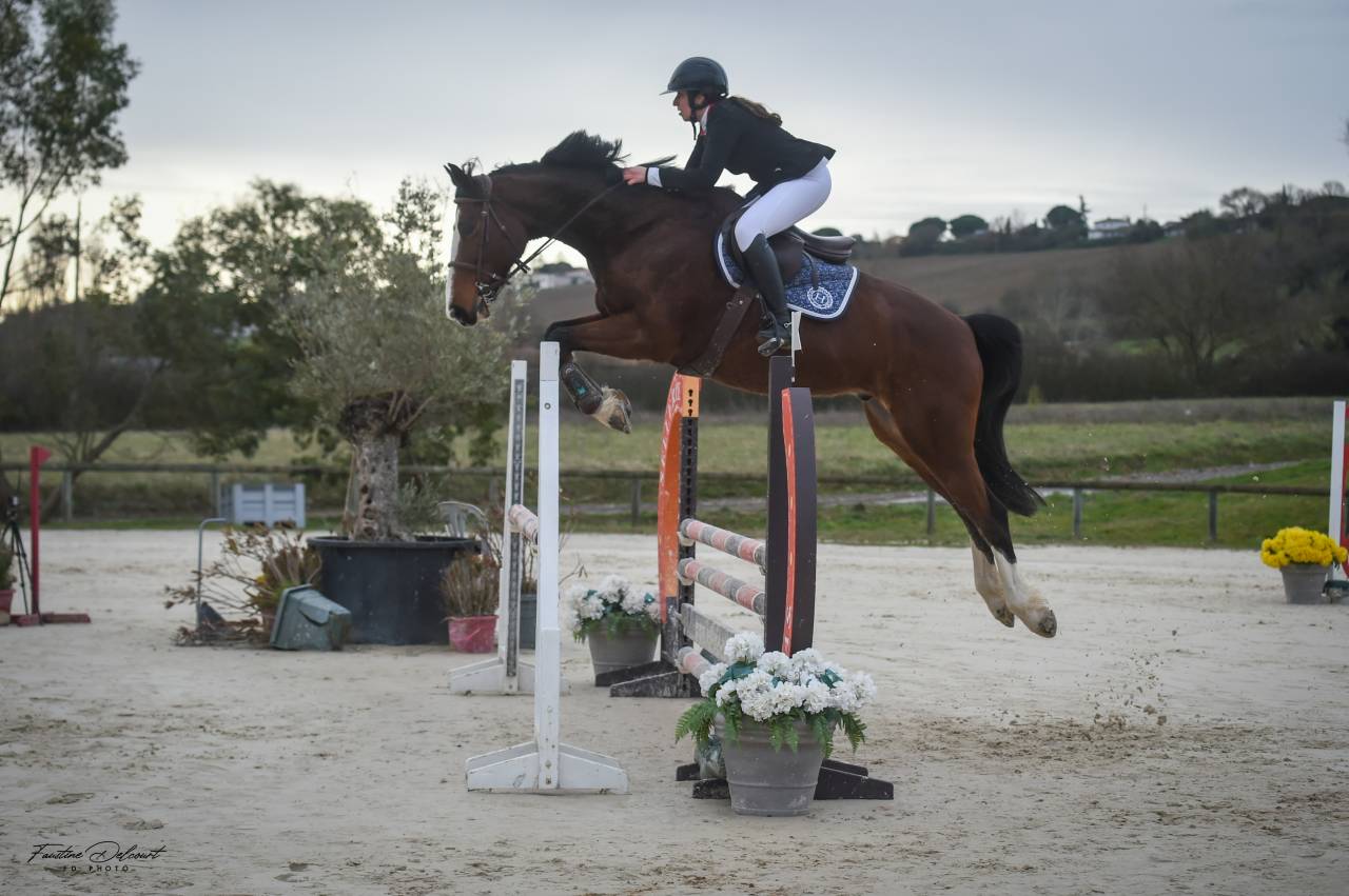 Cheval beau potentiel &agrave; finir de former 
