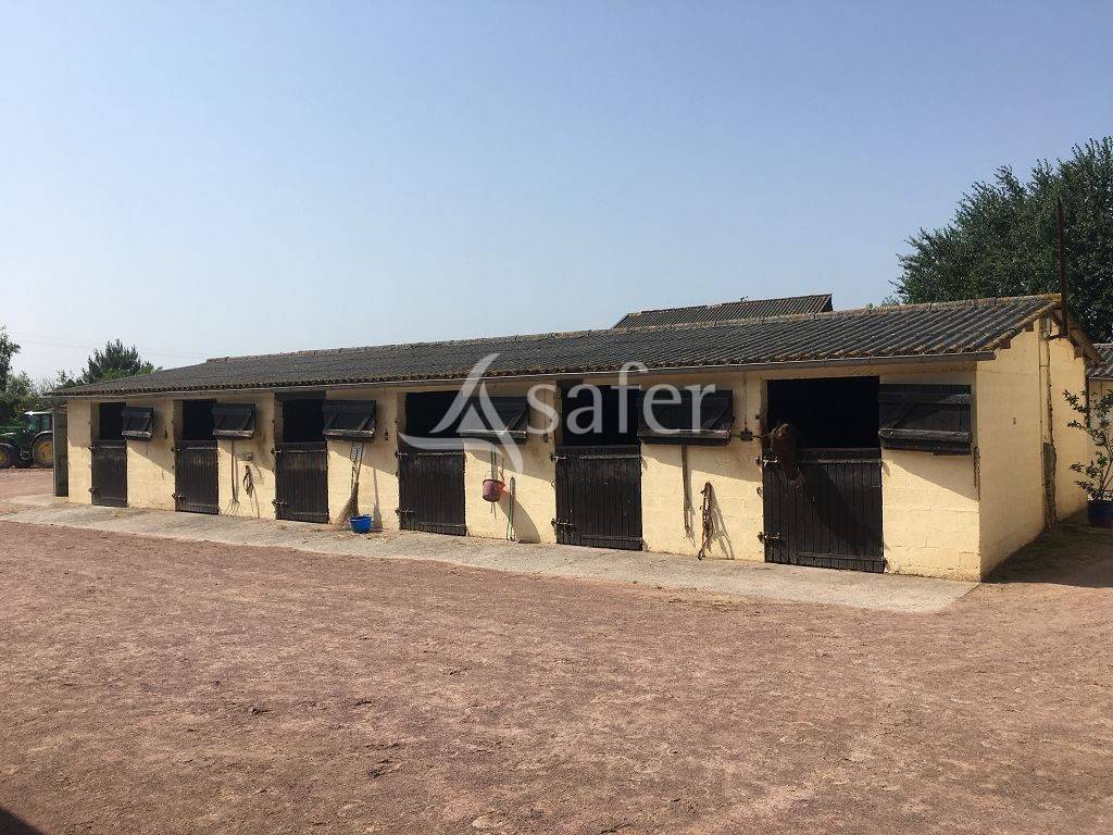 Propri&eacute;t&eacute; &eacute;questre 16 ha possibilit&eacute; 40 ha