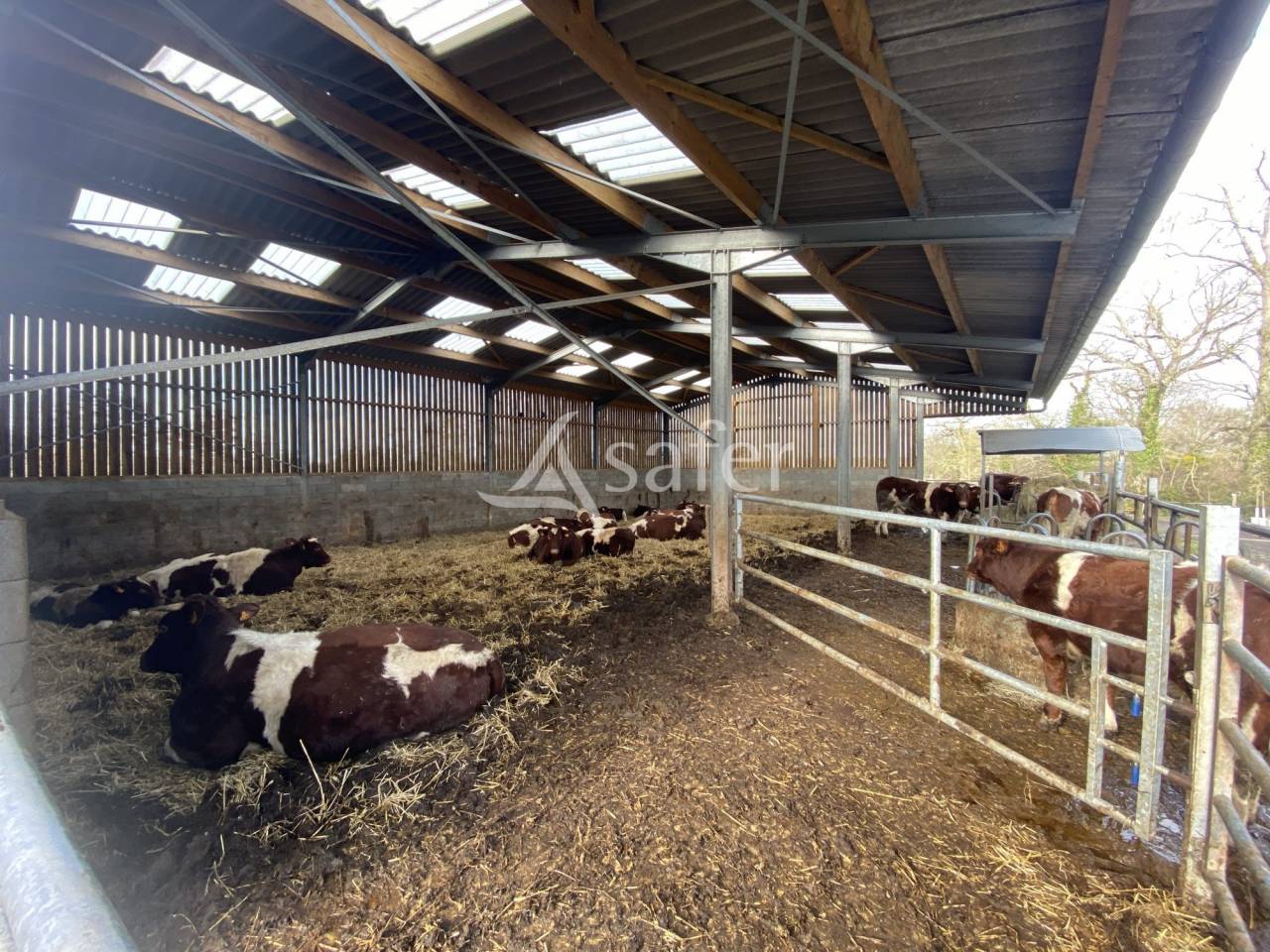 Propri&eacute;t&eacute; &eacute;questre 16 ha possibilit&eacute; 40 ha