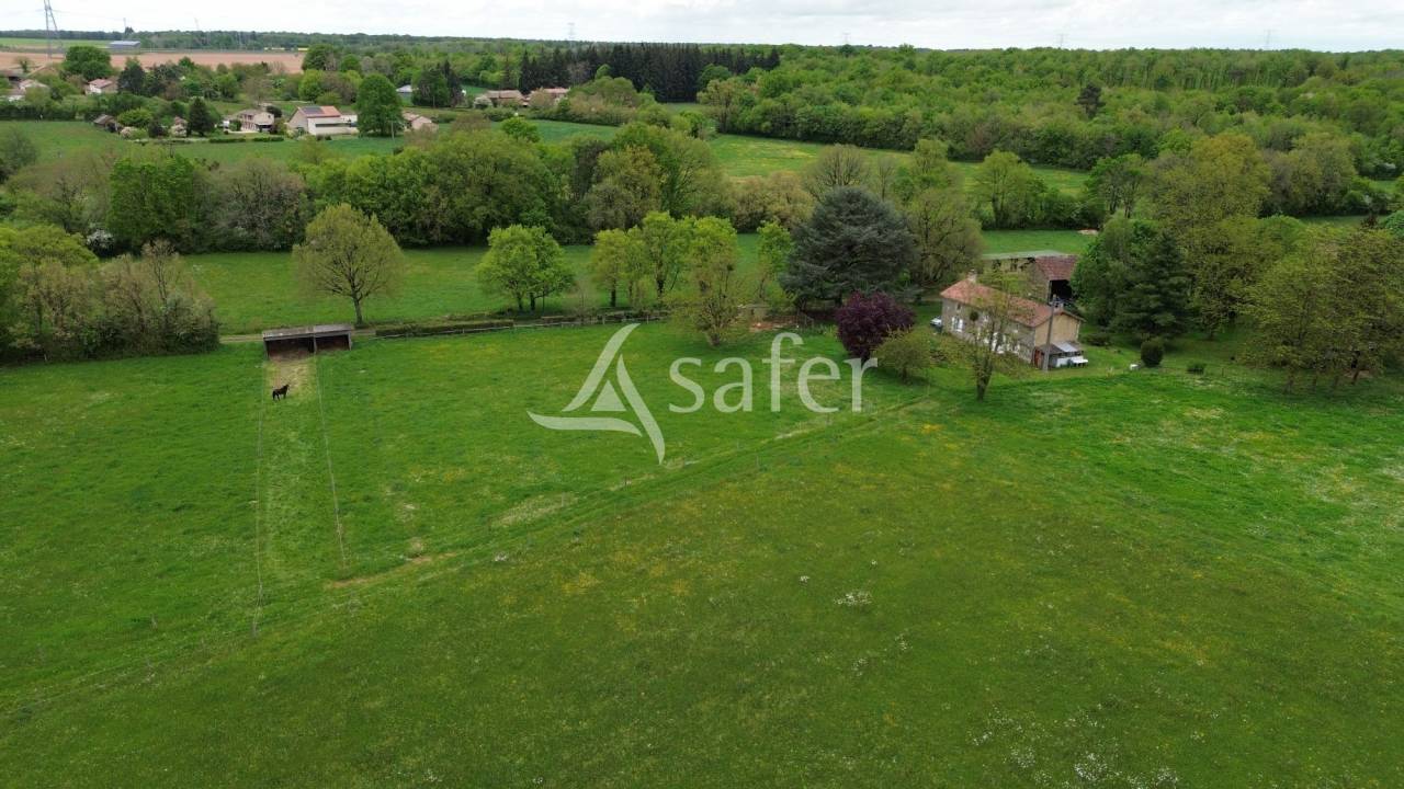 Propri&eacute;t&eacute; &eacute;questre sur environ 5 ha.