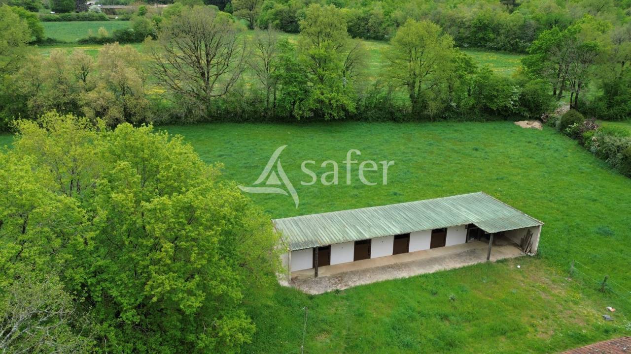 Propri&eacute;t&eacute; &eacute;questre sur environ 5 ha.