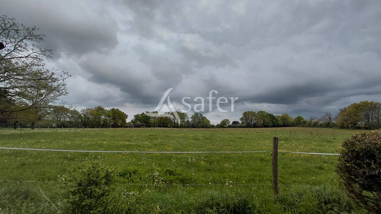 Propri&eacute;t&eacute; &eacute;questre sur environ 5 ha.