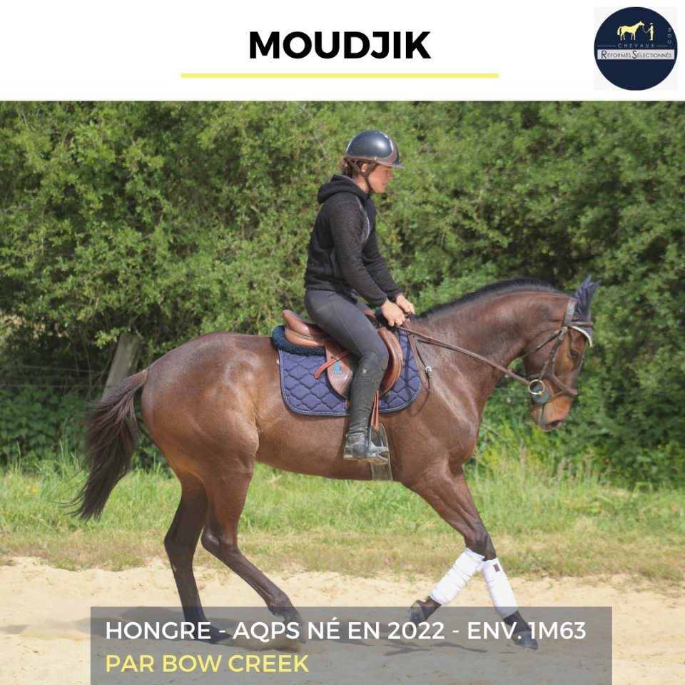 MOUDJIK - AQPS - 4 ANS