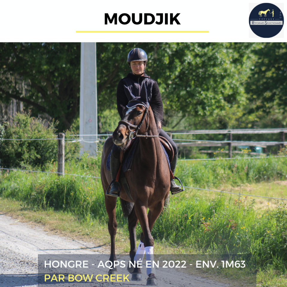 MOUDJIK - AQPS - 4 ANS