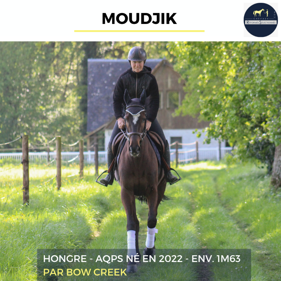 MOUDJIK - AQPS - 4 ANS