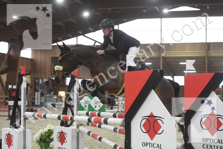 Hongre de 8ans &agrave; vendre 