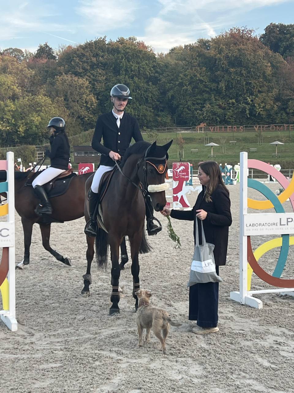 Hongre de 8ans &agrave; vendre 