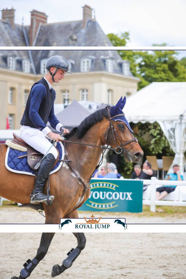 Hongre de 8ans &agrave; vendre 