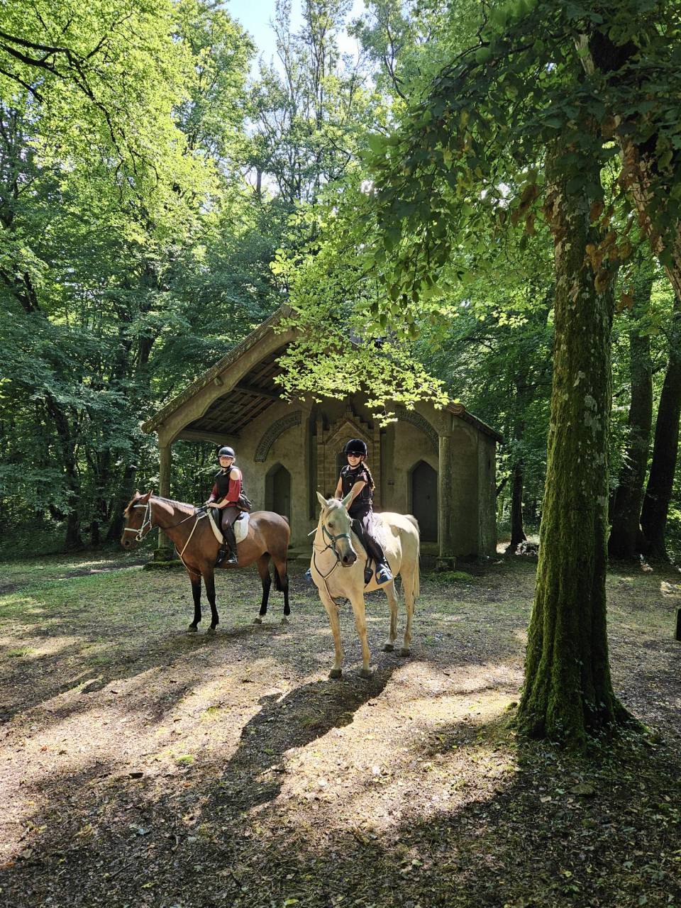 2 Juments arabes par OSBORN **** (SADEPERS)