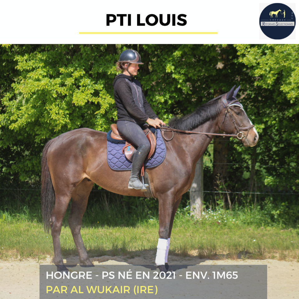 PTI LOUIS - PS - 5 ANS