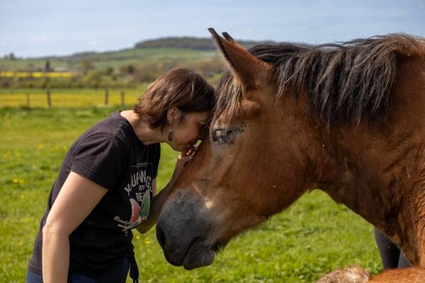 La communication animale au service des chevaux