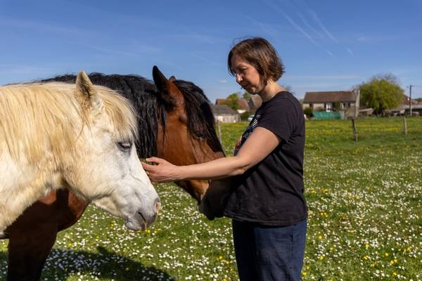 La communication animale au service des chevaux