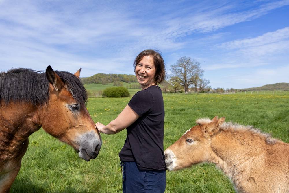 La communication animale au service des chevaux
