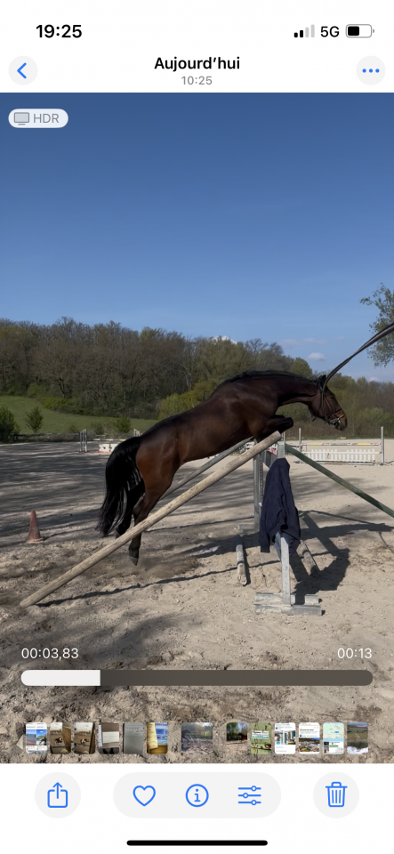 Jument de 5ans canturo x calvaro