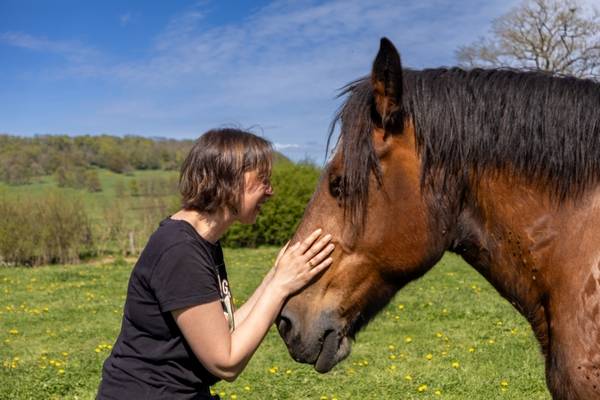 Formation &agrave; la communication animale