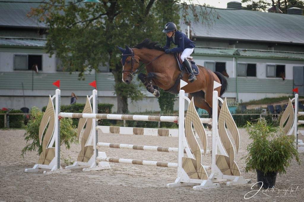 Jument d&rsquo;amateur