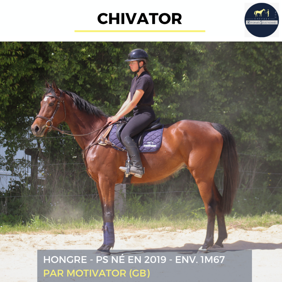 CHIVATOR - PS - 7 ANS