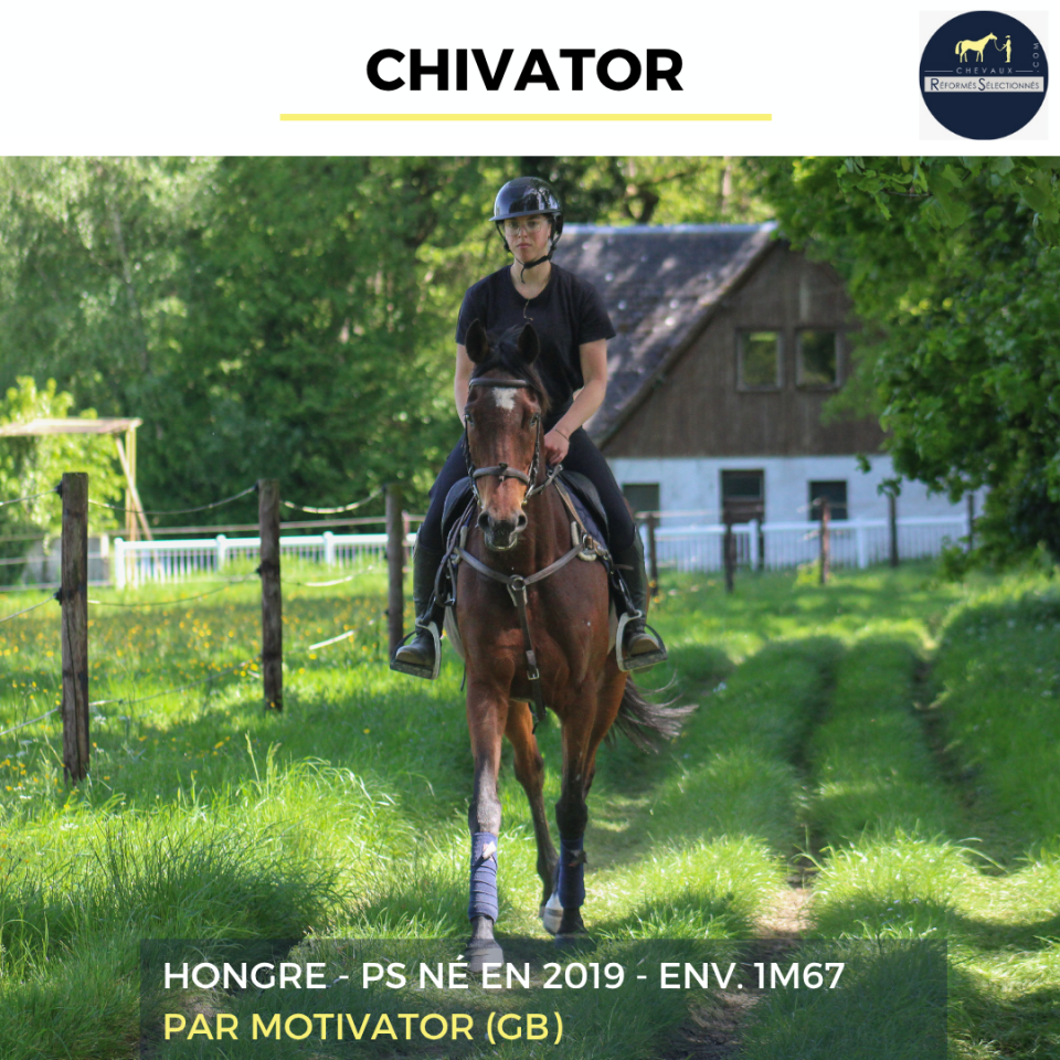 CHIVATOR - PS - 7 ANS