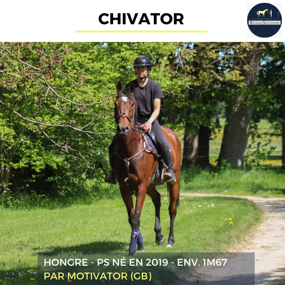 CHIVATOR - PS - 7 ANS