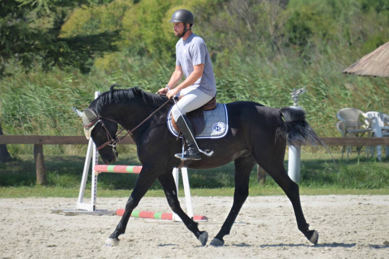 DP avec cheval polyvalent 