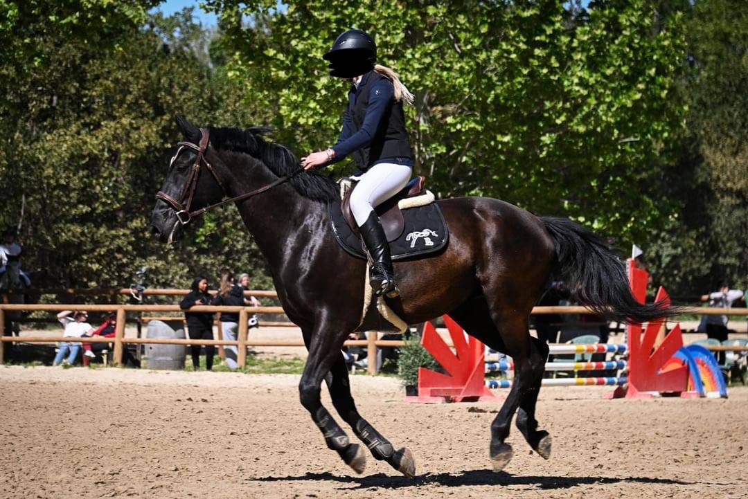 DP avec cheval polyvalent 