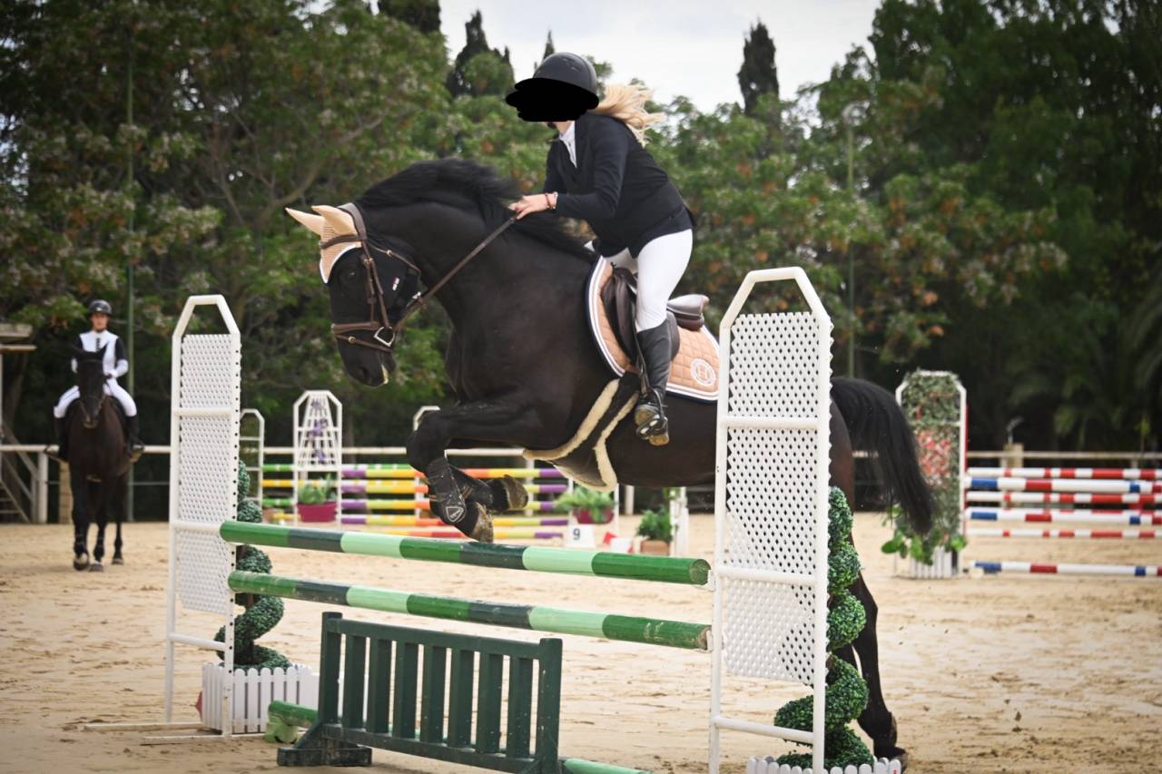 DP avec cheval polyvalent 