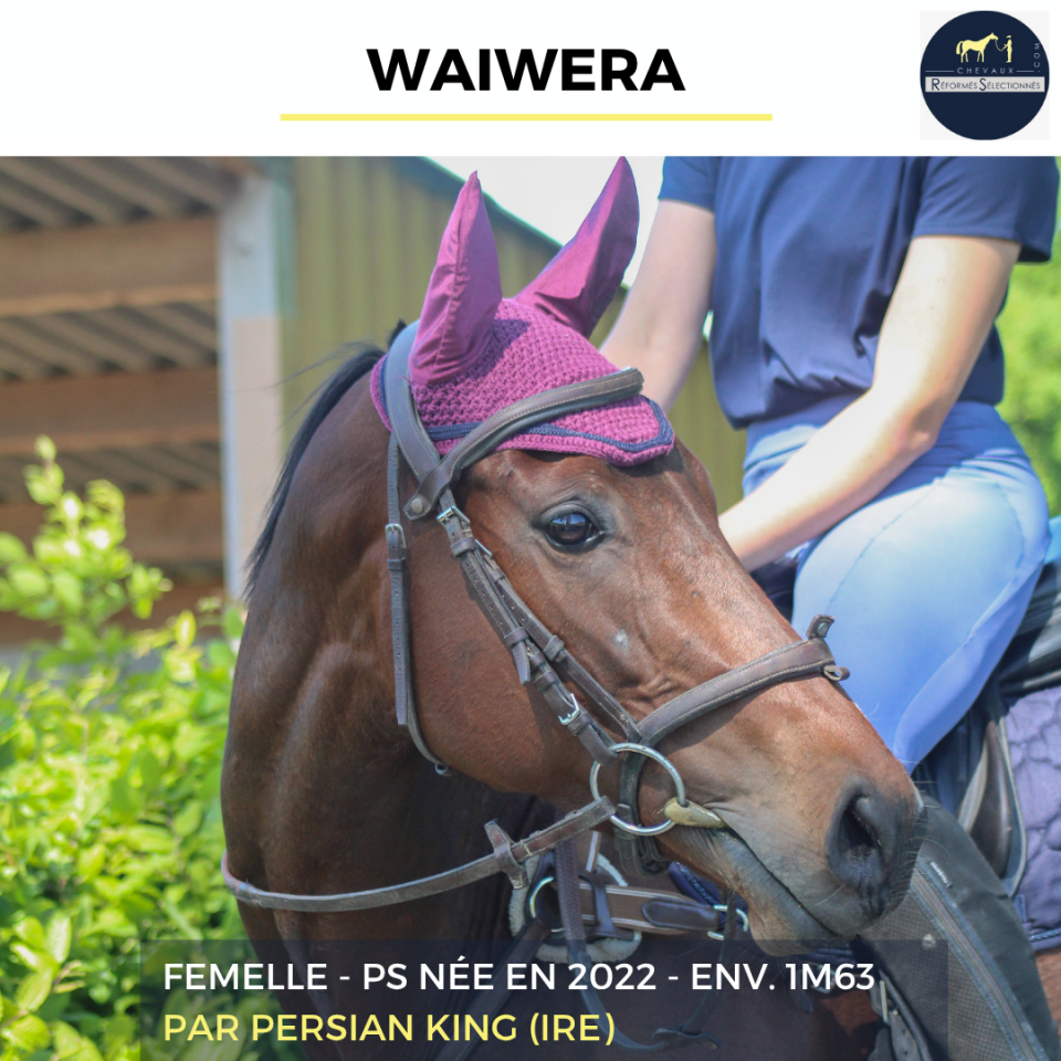 WAIWERA - PS - 4 ANS