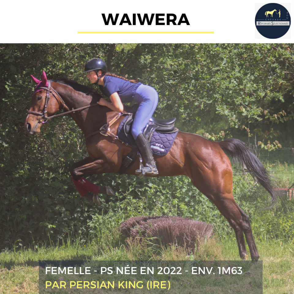 WAIWERA - PS - 4 ANS