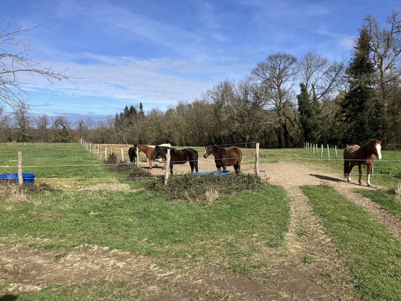 Centre &eacute;questre &agrave; reprendre