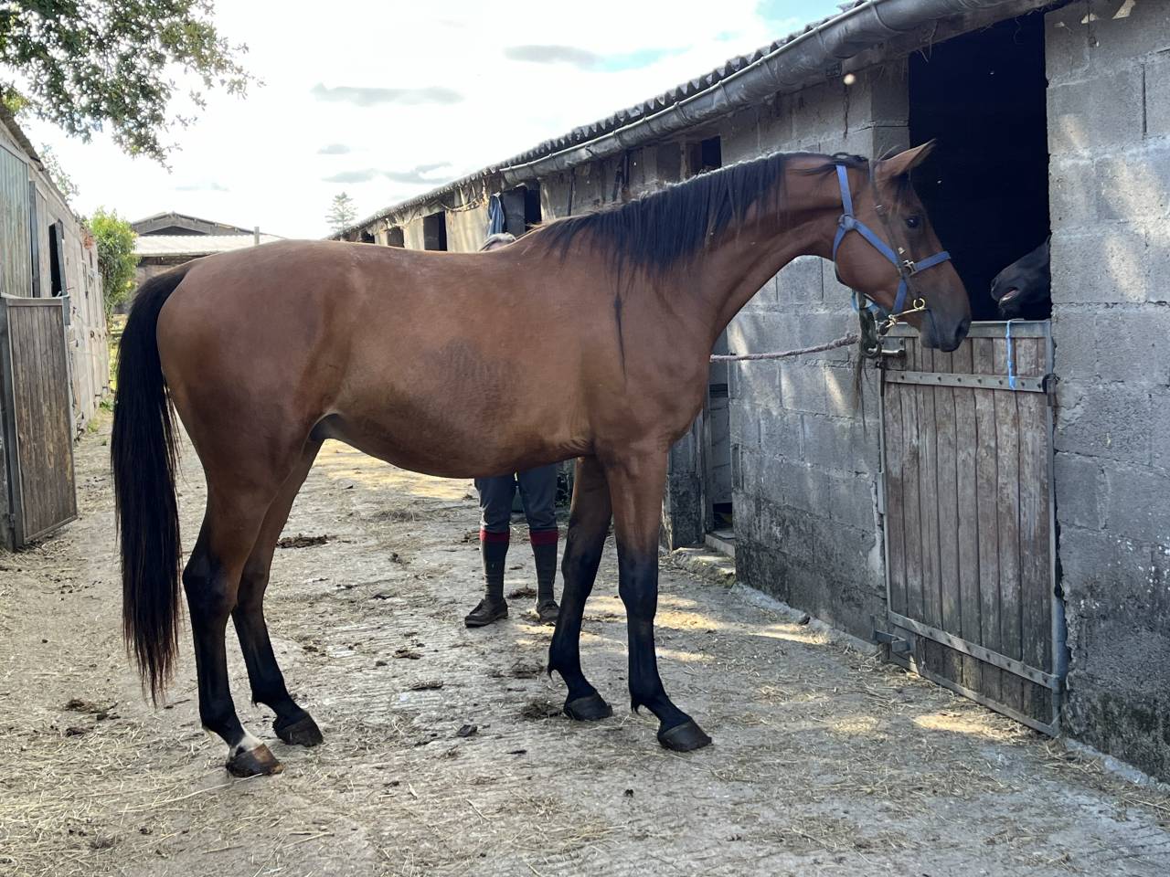 stage ou apprentissage 