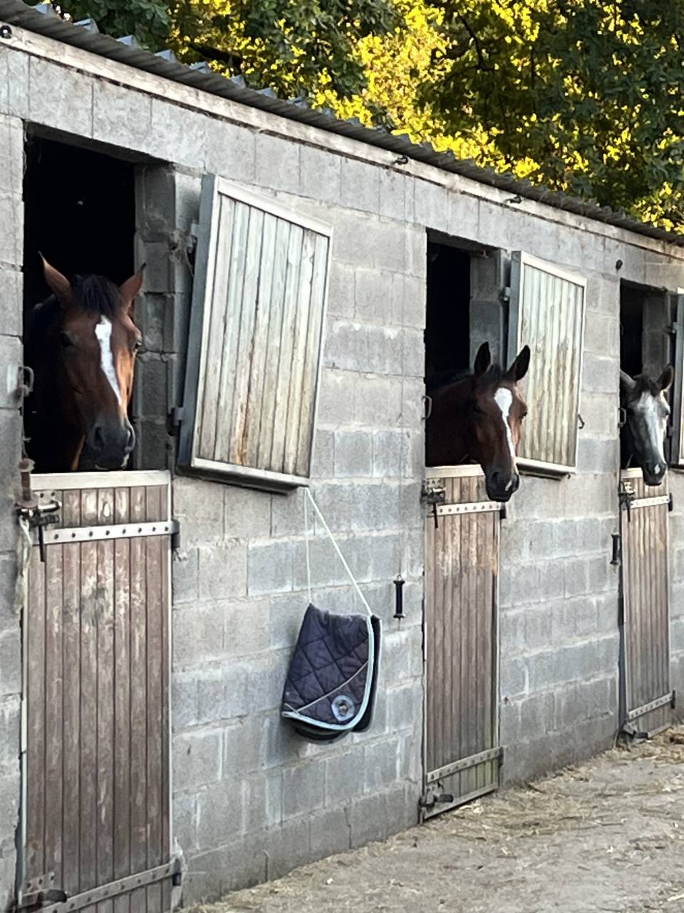 stage ou apprentissage 