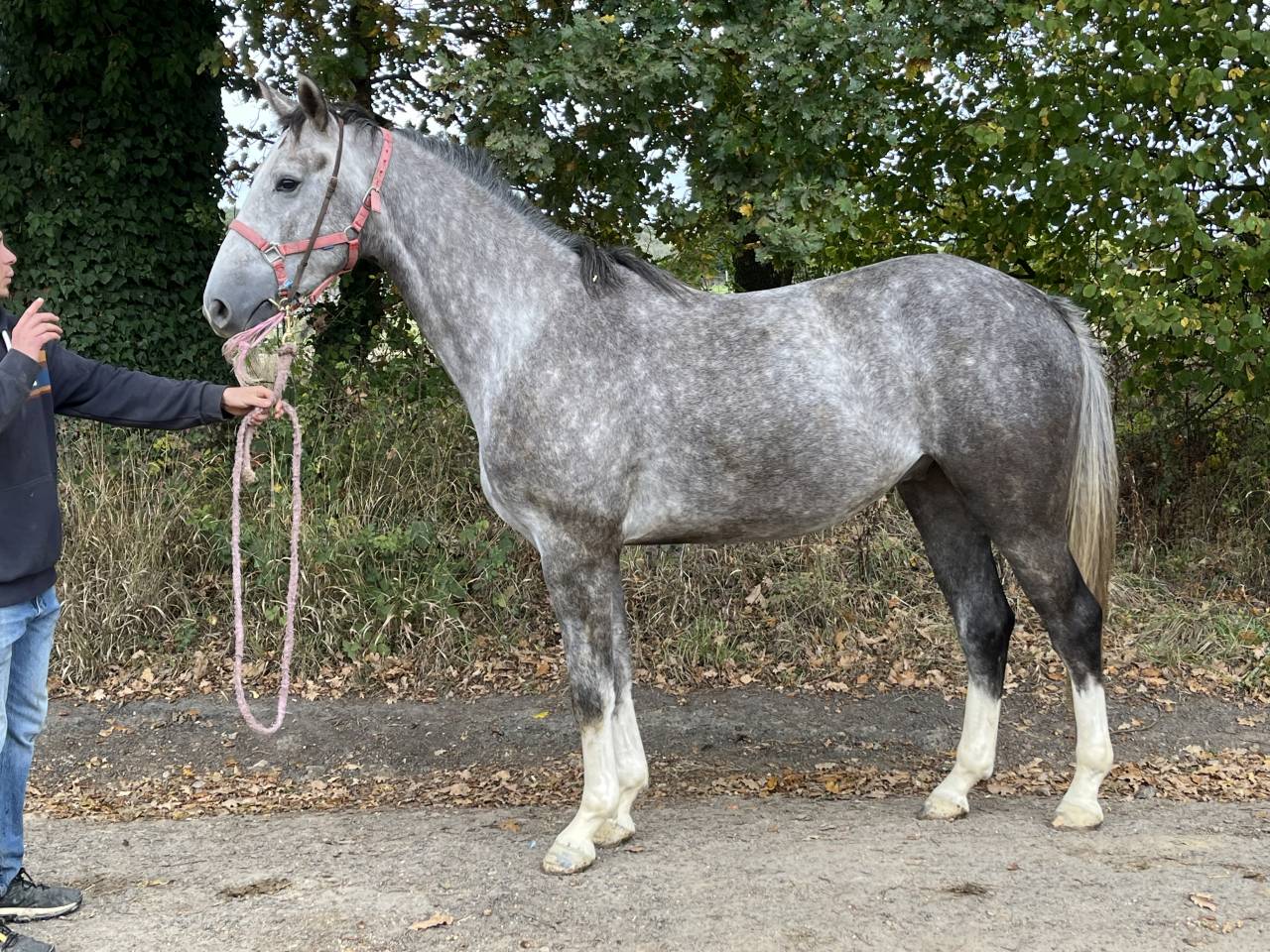 stage ou apprentissage 