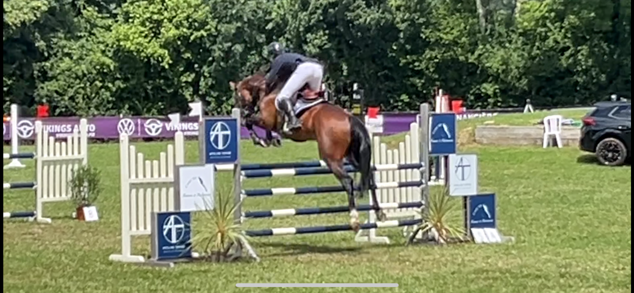 stage ou apprentissage 