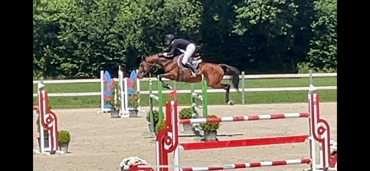 stage ou apprentissage 