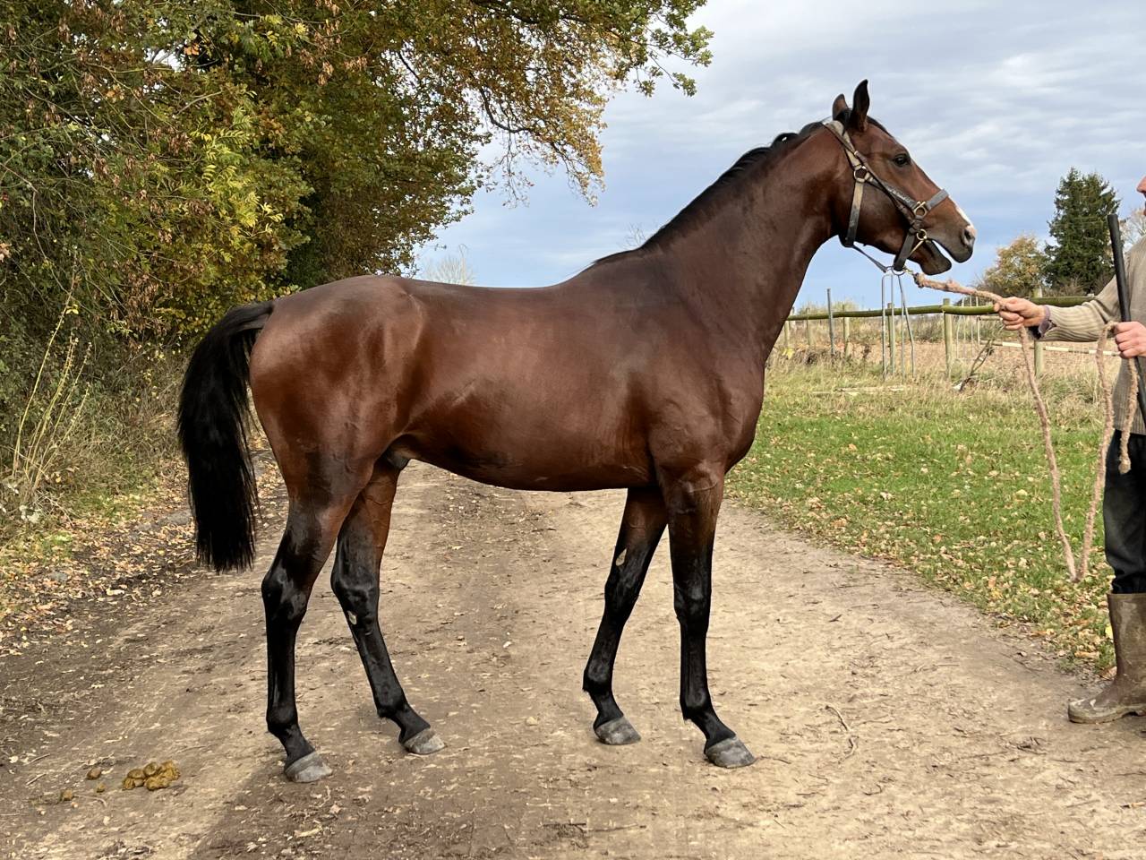 stage ou apprentissage 