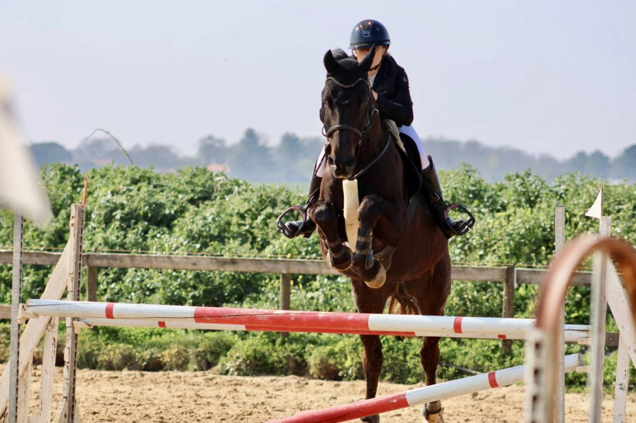 Recherche d'emploi &agrave; partir de Septembre 2026