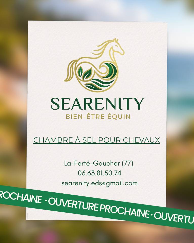 Bien &ecirc;tre &eacute;quin - Offrez &agrave; votre cheval les bienfaits de l&rsquo;air marin