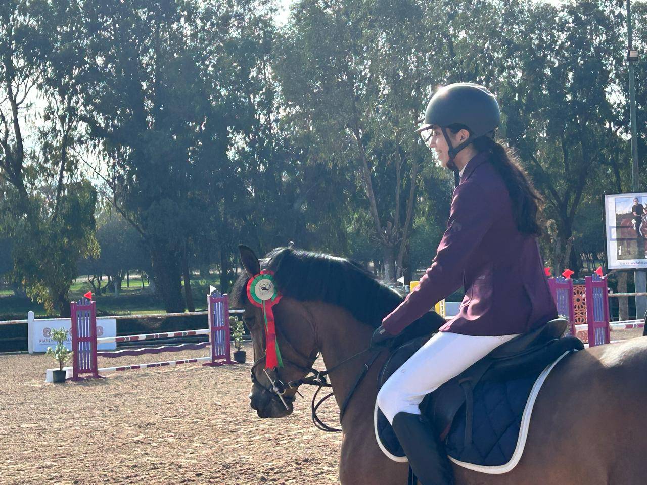 &Agrave; VENDRE : Super ponette de 6 ans - tr&egrave;s belles