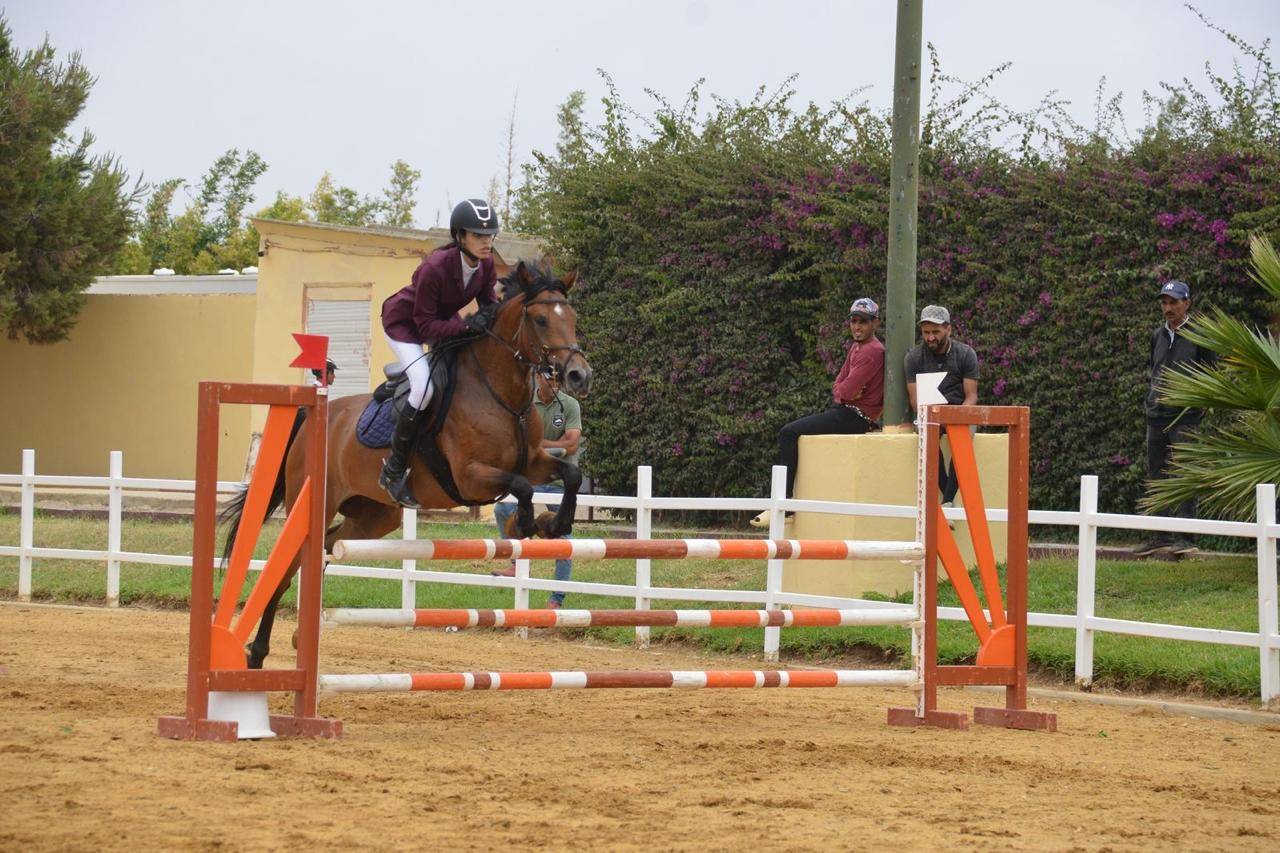 &Agrave; VENDRE : Super ponette de 6 ans - tr&egrave;s belles