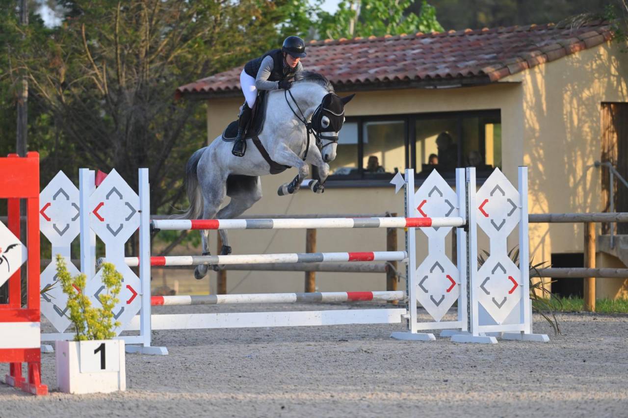 Jument de sport 8 ans top qualit&eacute;