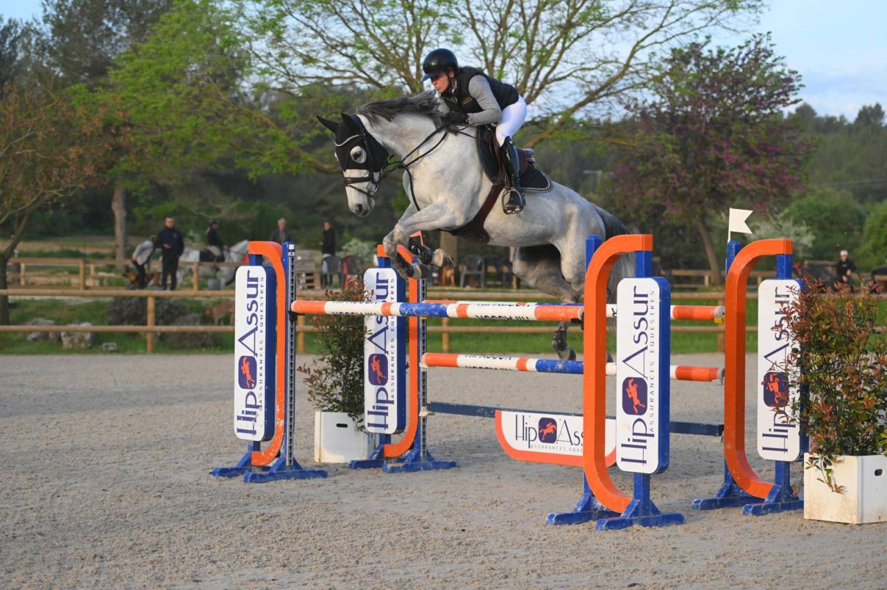 Jument de sport 8 ans top qualit&eacute;