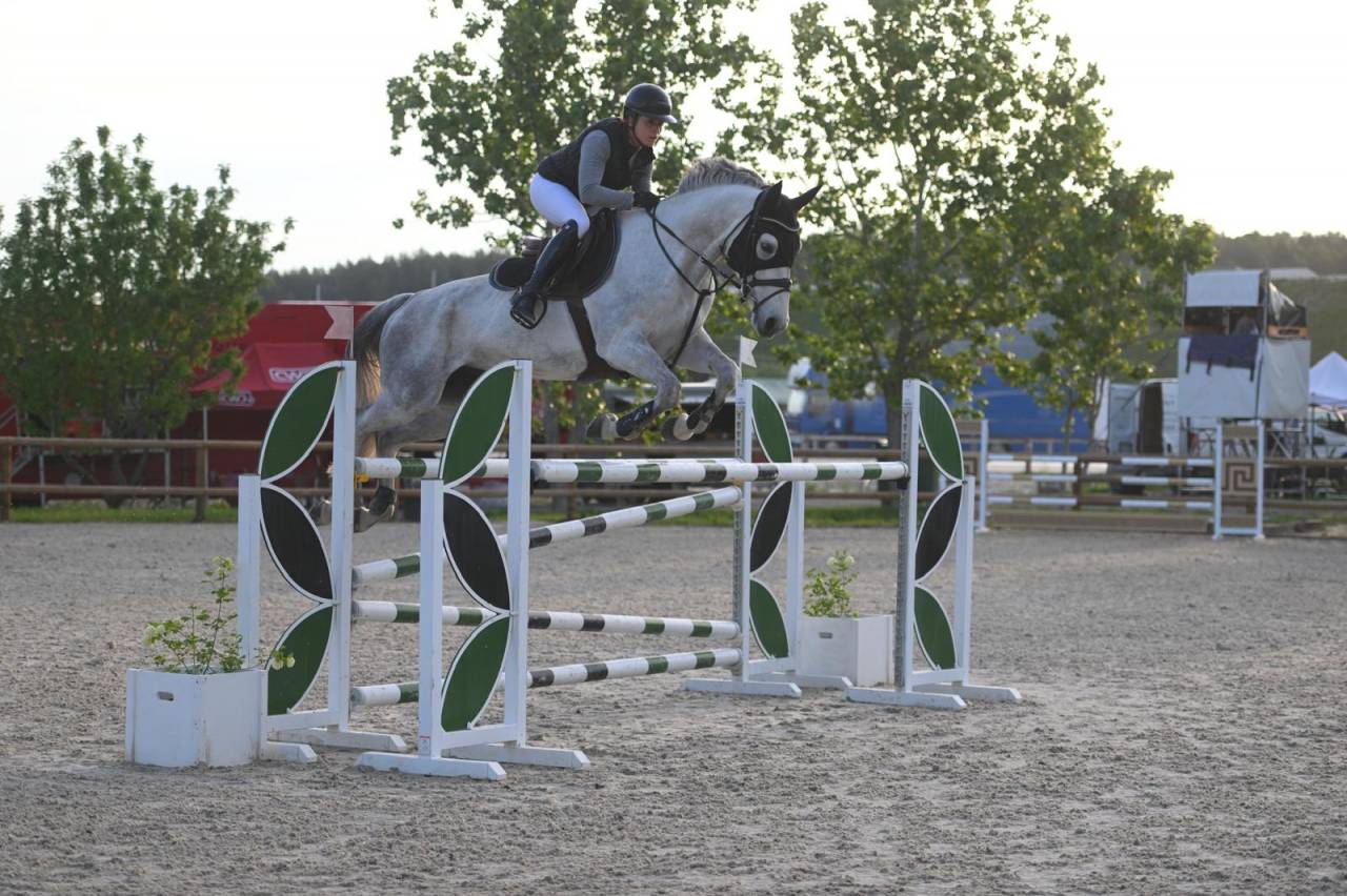 Jument de sport 8 ans top qualit&eacute;