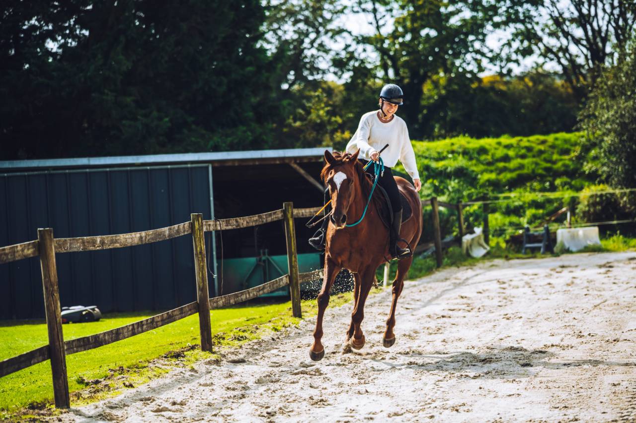 Jument de 8 ans   1m65  ONCS 