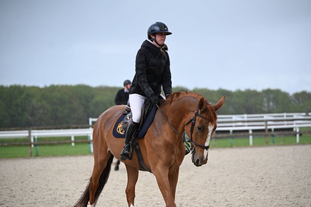 Jument CSO &agrave; vendre 