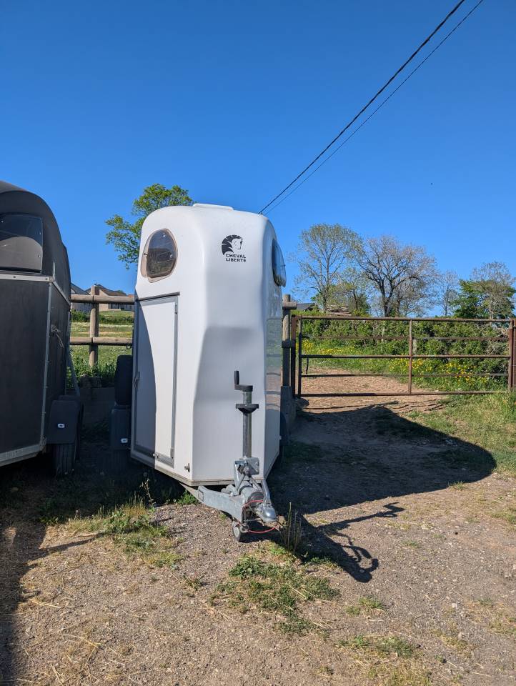 VAN Cheval Libert&eacute; Gold One White Line 1 place 1/2